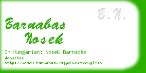 barnabas nosek business card